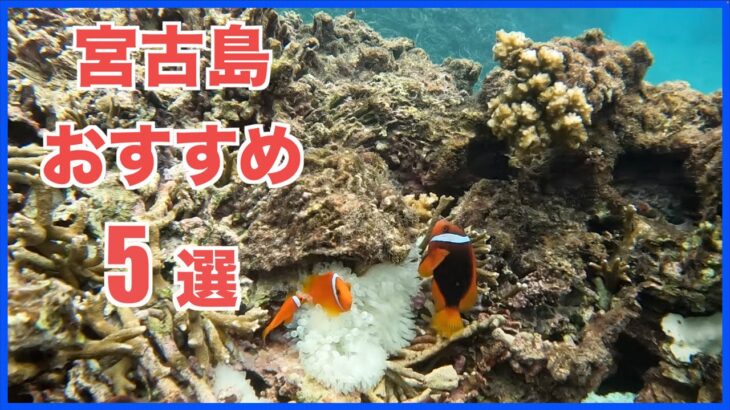 【沖縄旅行】宮古島おすすめ5選