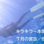 宮古島【伊良部島★7月】スキンダイビング