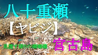 【宮古島】見渡す限りの珊瑚礁へ行き、宮古島の海と日本のグレートバリアリーフを堪能した夏休み【八重千線：ヤビジ】