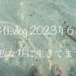 【移住vlog】2023年6月。夏本番宮古島🏝️マンゴーは不作らしい今年の夏🥭