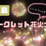 2023年 宮古島シークレット花火をハートフィルターで見るの巻