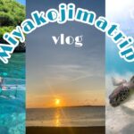 2023年 vlog / 7月の宮古島旅行🤍 /  2泊3日で満喫する方法🌺💡 / シュノーケリングとサップ🏖