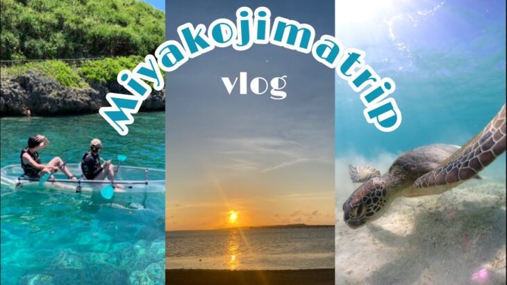 2023年 vlog / 7月の宮古島旅行🤍 /  2泊3日で満喫する方法🌺💡 / シュノーケリングとサップ🏖