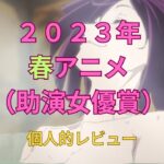 2023年 【夫：34/100】2023年春アニメレビュー 助演女優賞【宮古島別居婚】