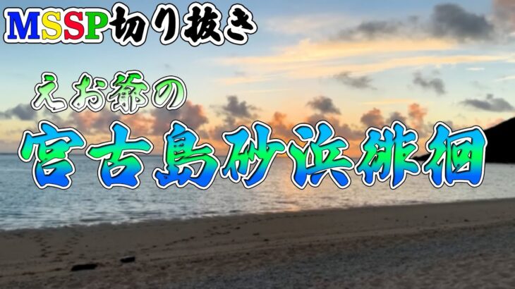 2023年 【MSSP切り抜き】宮古島の砂浜を一人で楽しむえおえお