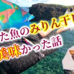 2023年 宮古島ルアーフィッシング ～自宅で簡単絶品みりん干し～