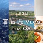 2023年 【宮古島vlog】DAY3 ウミガメに会える八重干瀬シュノーケリング&カフェ飯&絶景展望台