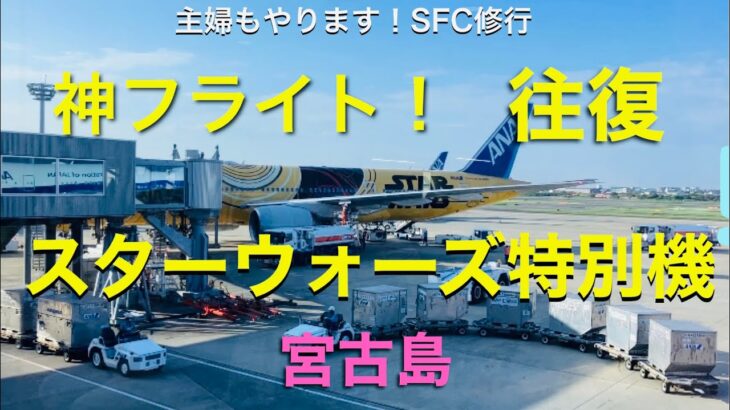 2023年 【スターウォーズ特別機】11回目のSFC修行は那覇経由で宮古島に飛びました。那覇便はなんと、スターウォーズ特別機に往復搭乗となり、まるでアトラクション気分で楽しいフライトになりました。