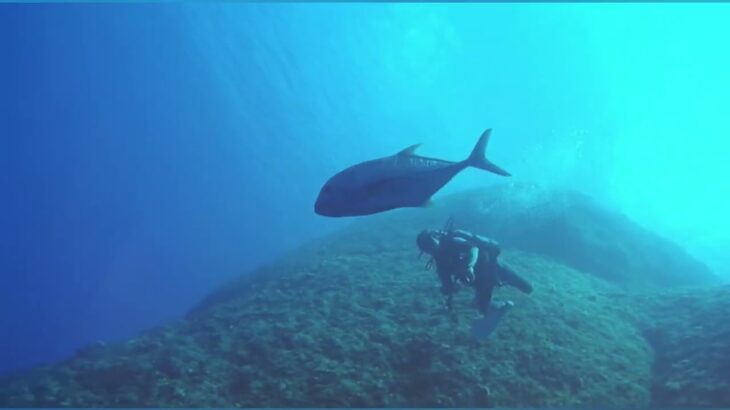 2023年 Arakan　Dive　in 宮古島