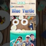 2023年 [宮古島2泊3日]水着で入れるカフェ！ Blue Turtle！[あどべんちゃぁず]#shorts