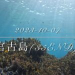 2023年 宮古島(35END)でスキンダイビングしてみた！(シュノーケリング)