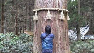 【パワースポット・御岩神社　初詣　　駐車場は満車状態】茨城県日立市