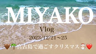 2023年 🏖️宮古島vlog🌈12月の宮古島を満喫!!