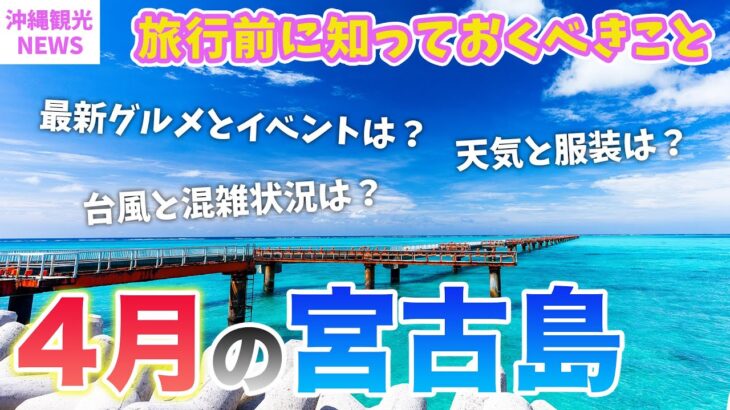 2023年 【４月の宮古島】旅行前必見💡基本情報まとめ／天気・服装・最新グルメ・旬の観光スポット・海開きイベントや注意点もまとめて紹介⚠️