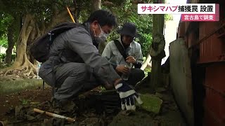 2023年 サキシマハブ　宮古島に罠設置 (24/04/10 12:10)