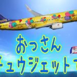 2023年 阪神タイガース沖縄キャンプ＋宮古島の旅2024終了！ピカチュウジェットで帰る