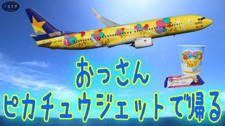 2023年 阪神タイガース沖縄キャンプ＋宮古島の旅2024終了！ピカチュウジェットで帰る