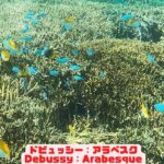 2023年 「チョウチョウウオとスズメダイ」「Butterfly fish and chromis」【4k 水中 UNDERWATER】【宮古島　海　サンゴ　魚　シュノーケリング　水族館　観光　移住】