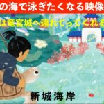 2023年 【スキンダイビング】宮古島の海で泳ぎたくなる映像第４弾　いつかは竜宮城へ連れてってくれるかな？　沖縄県宮古島市新城海岸　海亀（アオウミガメ）　浦島太郎