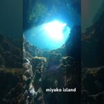 2023年 【宮古島ダイビング】下地🏝️ミニグロット📌 #diving #travel