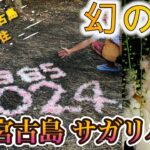 2023年 宮古島サガリバナ！　今だけ、夜だけしか見ることのできない幻の花！