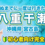 2023年 【宮古島】死ぬまでに一度は行きたい！八重干瀬（ヤビジ）シュノーケル完全攻略ガイド【沖縄】