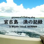 2023年 【沖縄・宮古島の海2024】漁の記録7月 半日泳ぎまくる fishing VLOG