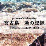 2023年 【沖縄・宮古島の海2024】漁の記録7月 スコールから逃げろ～ fishing VLOG