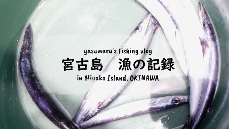 2023年 【沖縄・宮古島の海2024】漁の記録7月 八重干瀬で追い込み漁 fishing VLOG