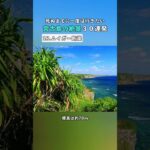 2023年 【宮古島の絶景30連発】ムイガー断崖｜死ぬまでに一度は行きたい絶景 #宮古島  #おすすめスポット #shorts #ホエールウォッチング