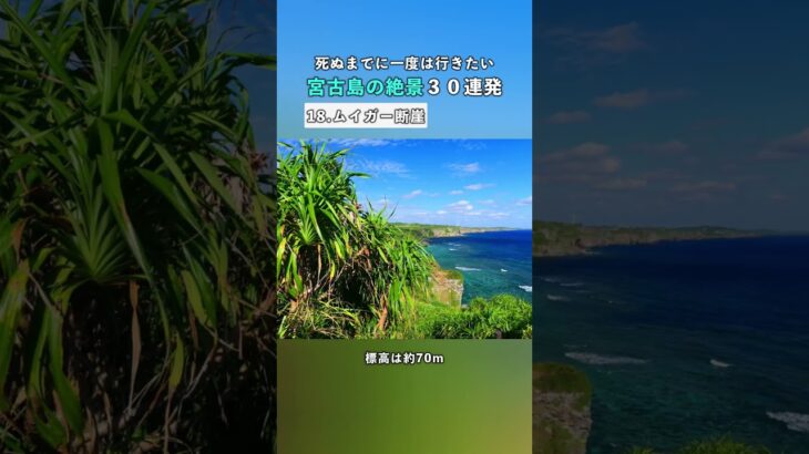 2023年 【宮古島の絶景30連発】ムイガー断崖｜死ぬまでに一度は行きたい絶景 #宮古島  #おすすめスポット #shorts #ホエールウォッチング