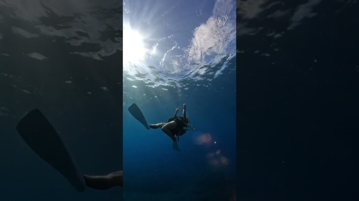 2023年 Diving🤍 #宮古島 #diving #deepblue