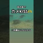 2023年 宮古島でカメKISS