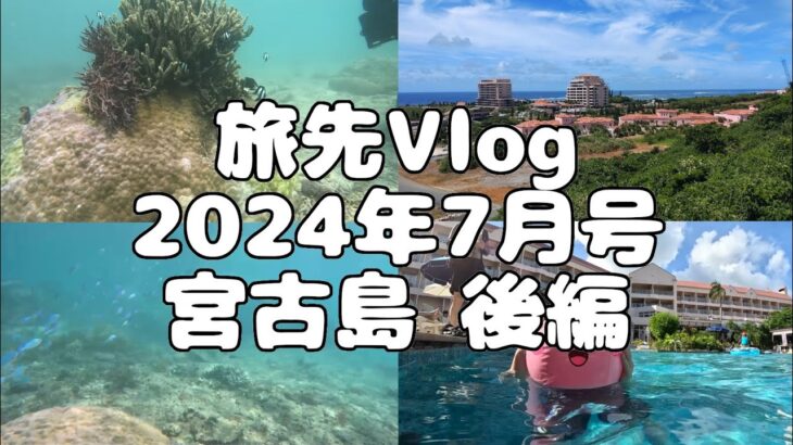 2023年 【旅先Vlog】2024年7月号 宮古島 後編「宮古島で体験ダイビングやってみた！」