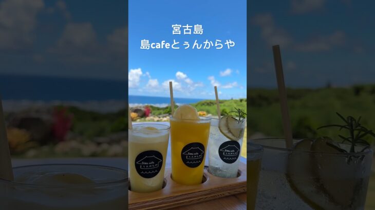 2023年 宮古島　島cafeとぅんからや#宮古島 #カフェ #ランチ