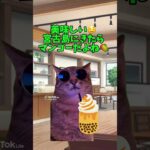 2023年 【宮古島に行ったら超有名人にあった件😇】 #cat #tiktok #猫ミーム #猫 #shorts #宮古島 #沖縄 #旅行#olympics