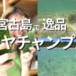 2023年 【ゴーヤチャンプルー】宮古島で最高の逸品をご紹介