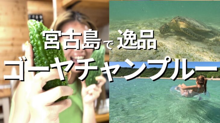 2023年 【ゴーヤチャンプルー】宮古島で最高の逸品をご紹介