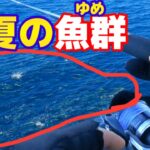 2023年 宮古島の夏！今日も青物と一騎討ち