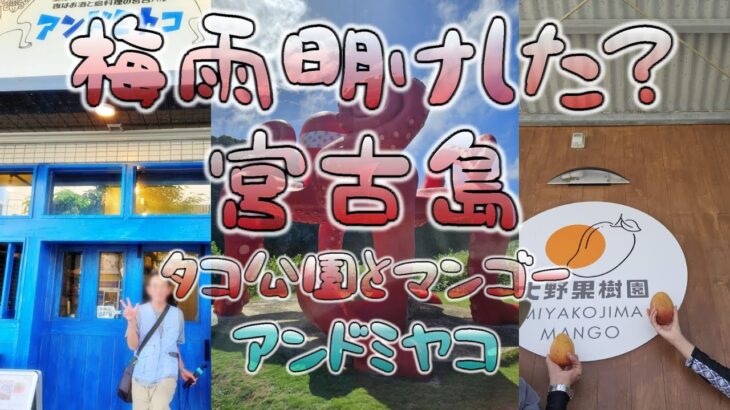 2023年 梅雨明けた？来間島 タコ公園 アンドミヤコさんで晩御飯  2日目②　#宮古島