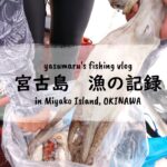 2023年 【沖縄・宮古島の海2024】漁の記録8月 タコとイカと娘と fishing VLOG