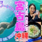 2023年 【#2】宮古島☆ウミガメとシュノーケリング！Miyako Island: Snorkeling with Sea Turtles