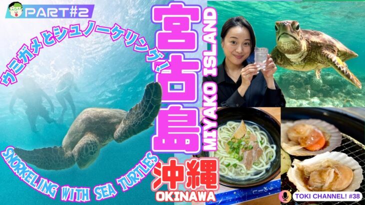 2023年 【#2】宮古島☆ウミガメとシュノーケリング！Miyako Island: Snorkeling with Sea Turtles