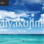 2023年 【宮古島】はじめての沖縄旅｜定番スポットを巡る真夏の3日間 ｜新城海岸、沖縄料理、夏祭り