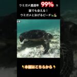 2023年 【宮古島】ウミガメ遭遇率99%？絶対に行きたい！誰でもウミガメと会える絶景ビーチ🐢🏝️#宮古島#宮古島旅行#新城海岸#宮古島vlog#ウミガメ#おすすめにのりたい#おすすめ