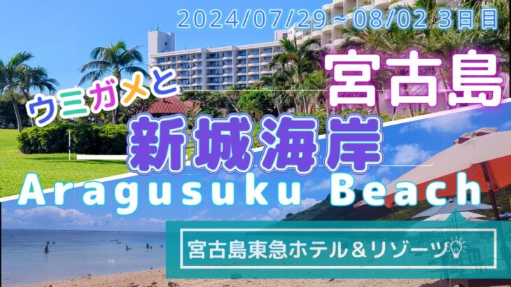 2023年 宮古島東急ホテル＆リゾーツ・新城ビーチでランチ&シュノーケリング【沖縄】 Vlog-34 2024/07/31