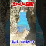 2023年 実写版ウォーリーを探せ！in宮古島　中の島ビーチ③　#shorts