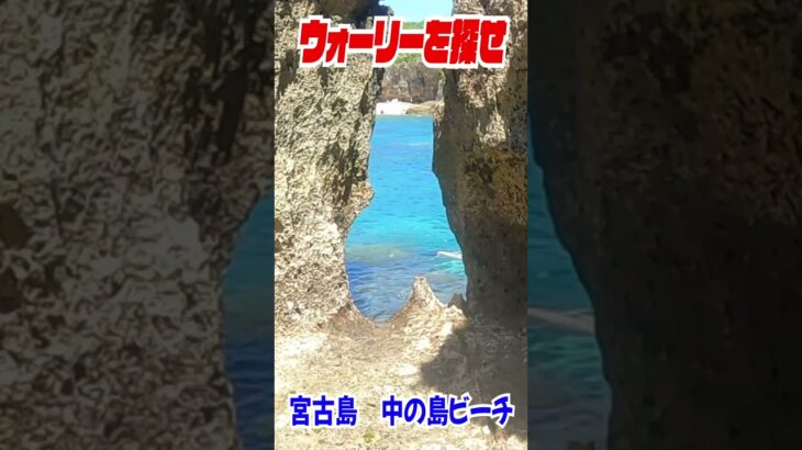 2023年 実写版ウォーリーを探せ！in宮古島　中の島ビーチ③　#shorts