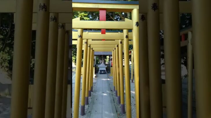 【パワースポット】茨城県ひたちなか市・ほしいも神社へ行ってみた。#神社#パワースポット #御朱印 #鳥居#shrine #japanbeauty