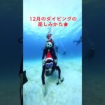 2023年 サンタダイビング🎅🏽　#宮古島 #ダイビング #クリスマス